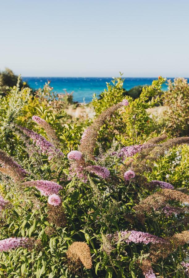 LʼÎle-Rousse Casa Paradisu מראה חיצוני תמונה